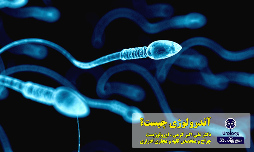 بیماری های مرتبط با آندرولوژی