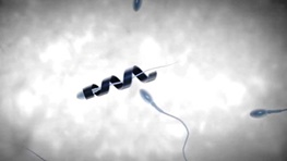 ساخت ربات هدایت‌کننده اسپرم برای درمان ناباروری