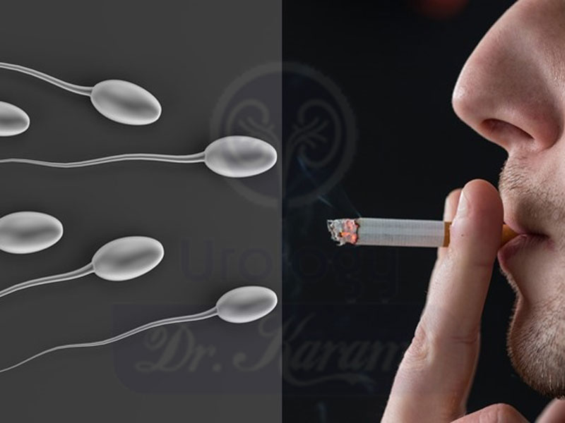 چگونه استعمال دخانیات بر کیفیت اسپرم و مایع منی تأثیر می گذارد؟