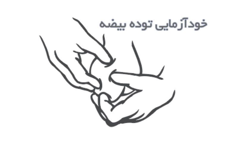 خودآزمایی توده بیضه