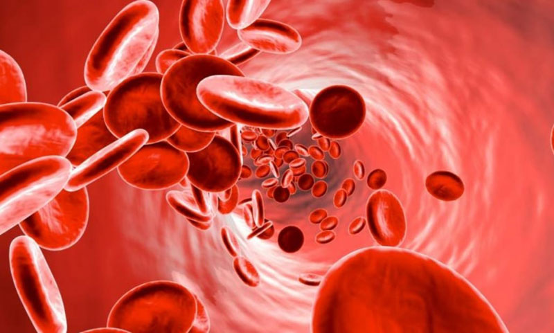 خطرات پیوند کلیه