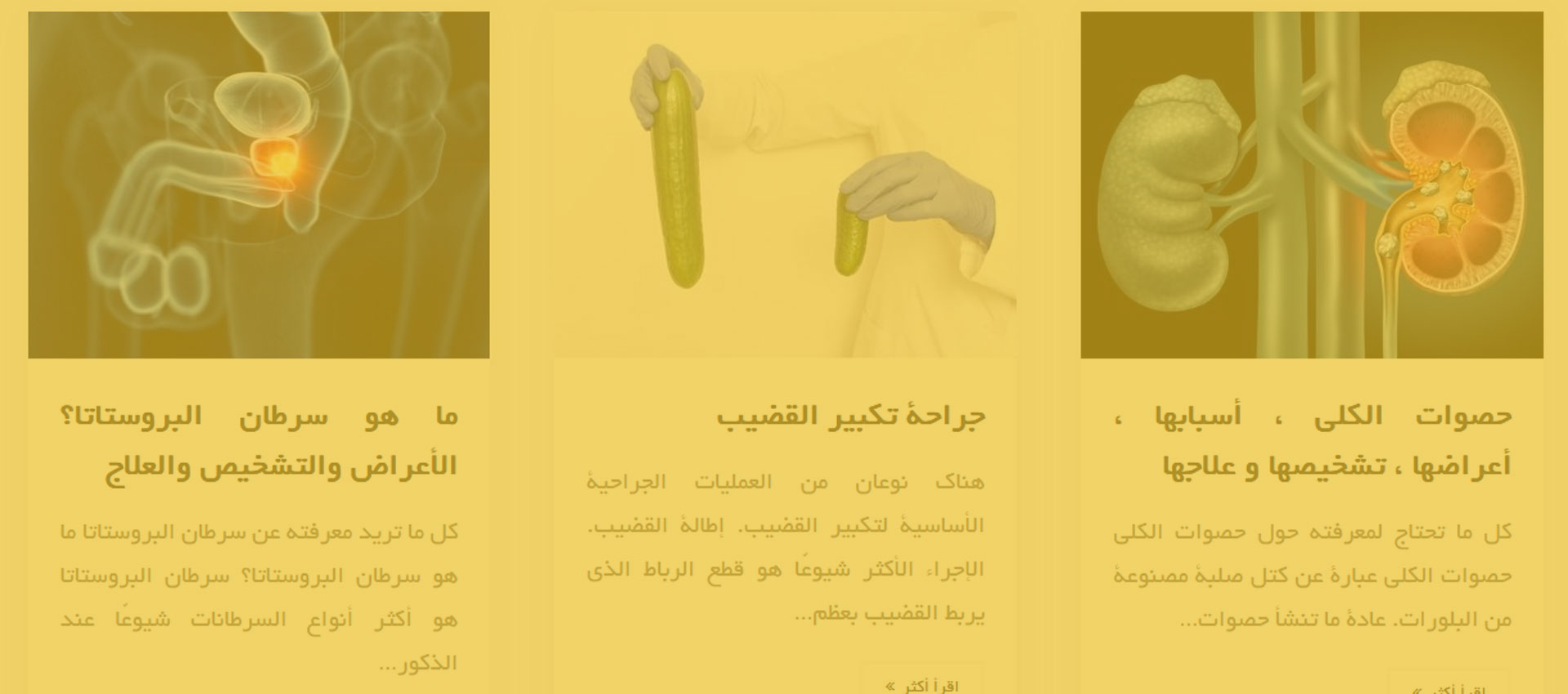 راه اندازی نسخه عربی وبسایت دکتر علی اکبر کرمی
