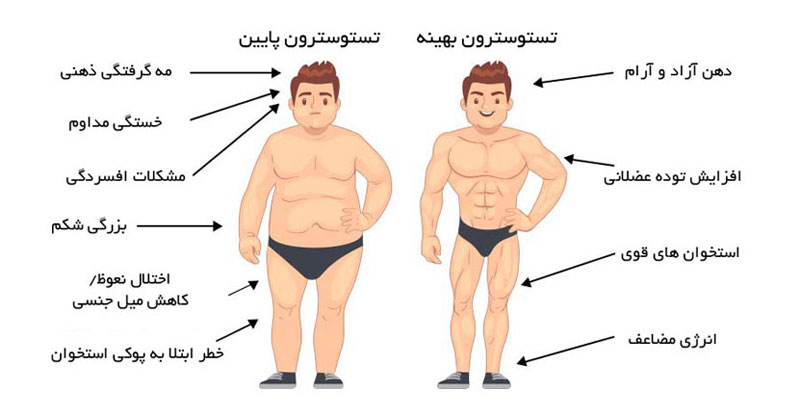 تستوسترون در مردان