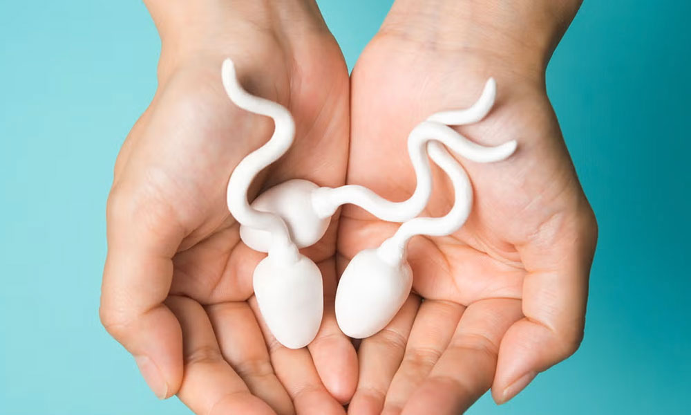 ترکیبات شیمیایی مایع پروستات